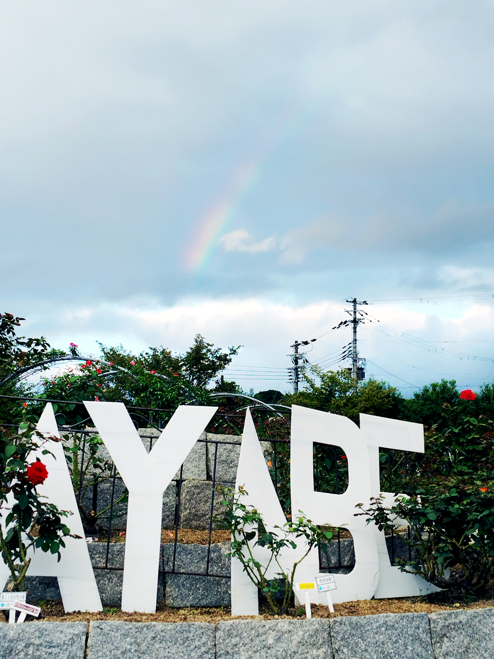 2025年10月13日 綾のまちめぐりフェスの様子1